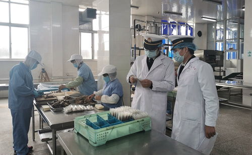 強化線上服務，鎮海海關護航食品農產品出口